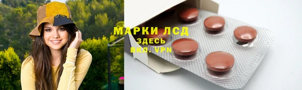 индика Богданович